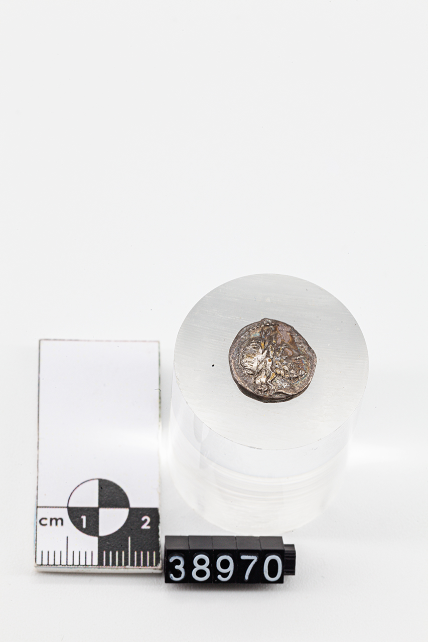 moneta - Quinario (inizio SECOLI/ I a.C)