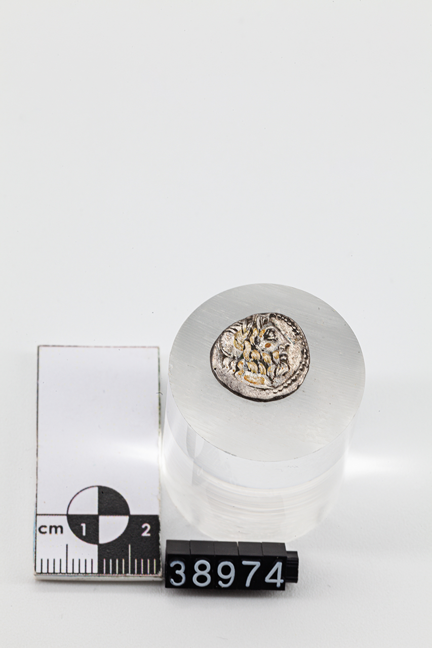 moneta - Quinario (inizio SECOLI/ I a.C)