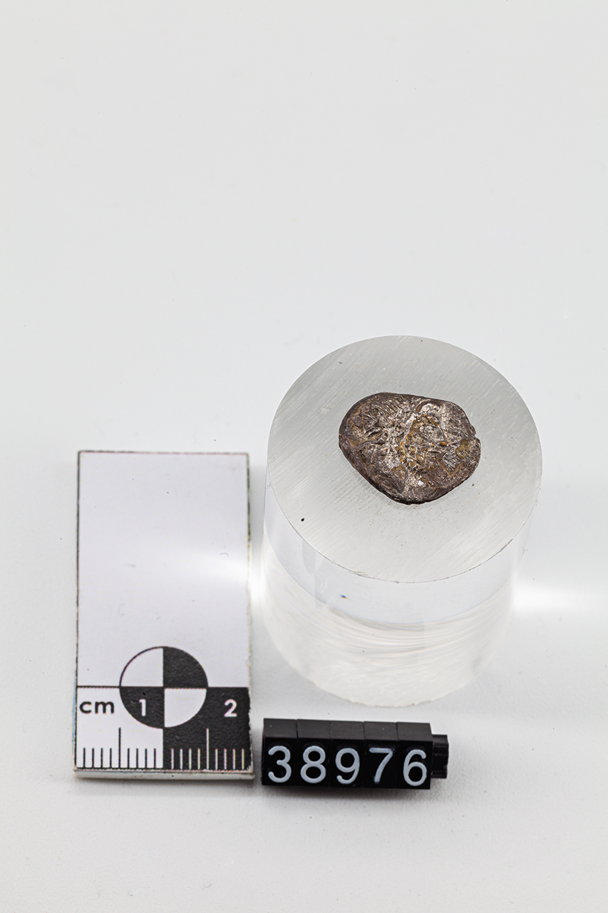 moneta - Quinario (inizio SECOLI/ I a.C)