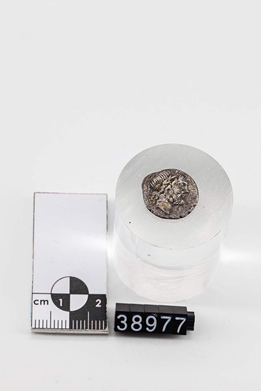 moneta - Quinario (inizio SECOLI/ I a.C)