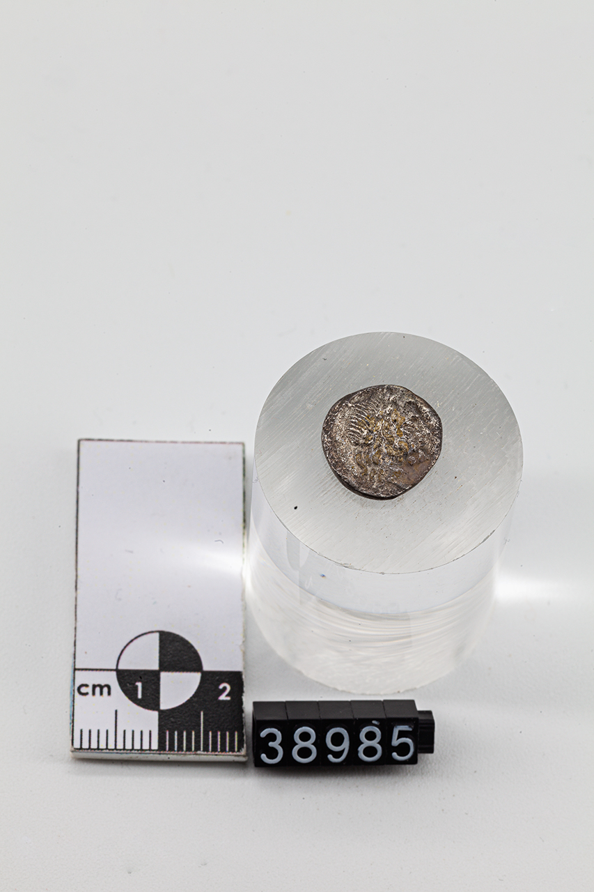 moneta - Quinario (inizio SECOLI/ I a.C)