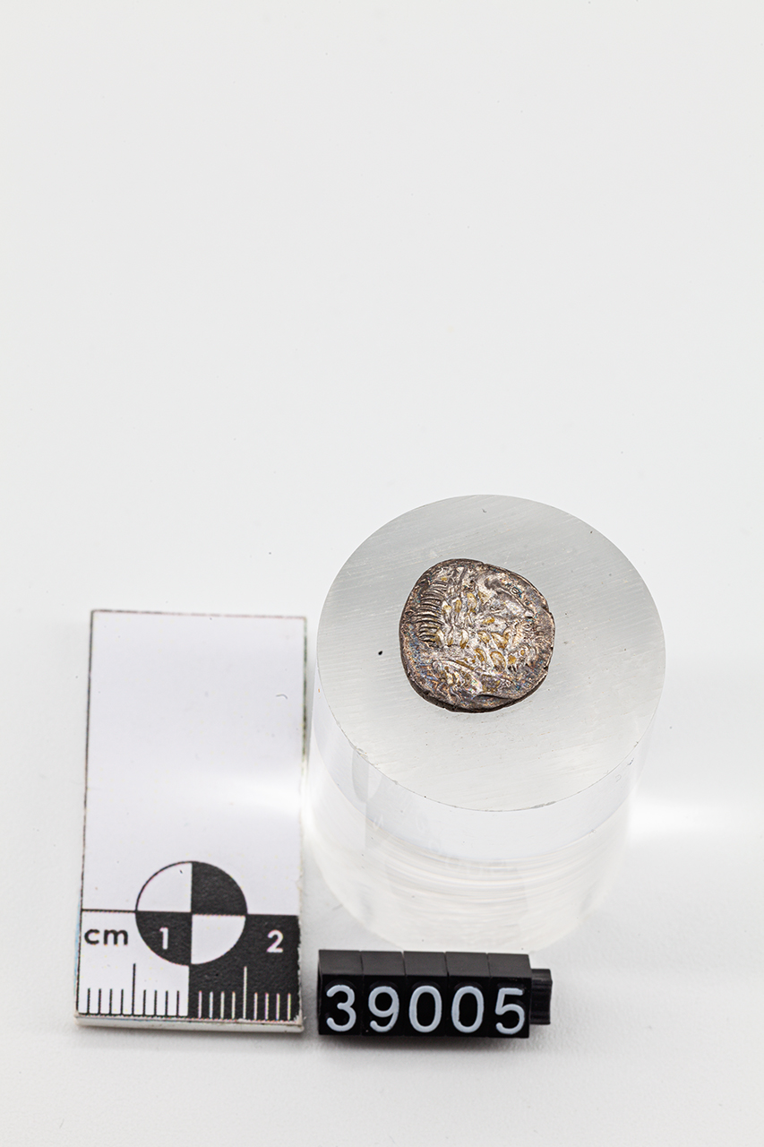 moneta - Quinario (inizio SECOLI/ I a.C)