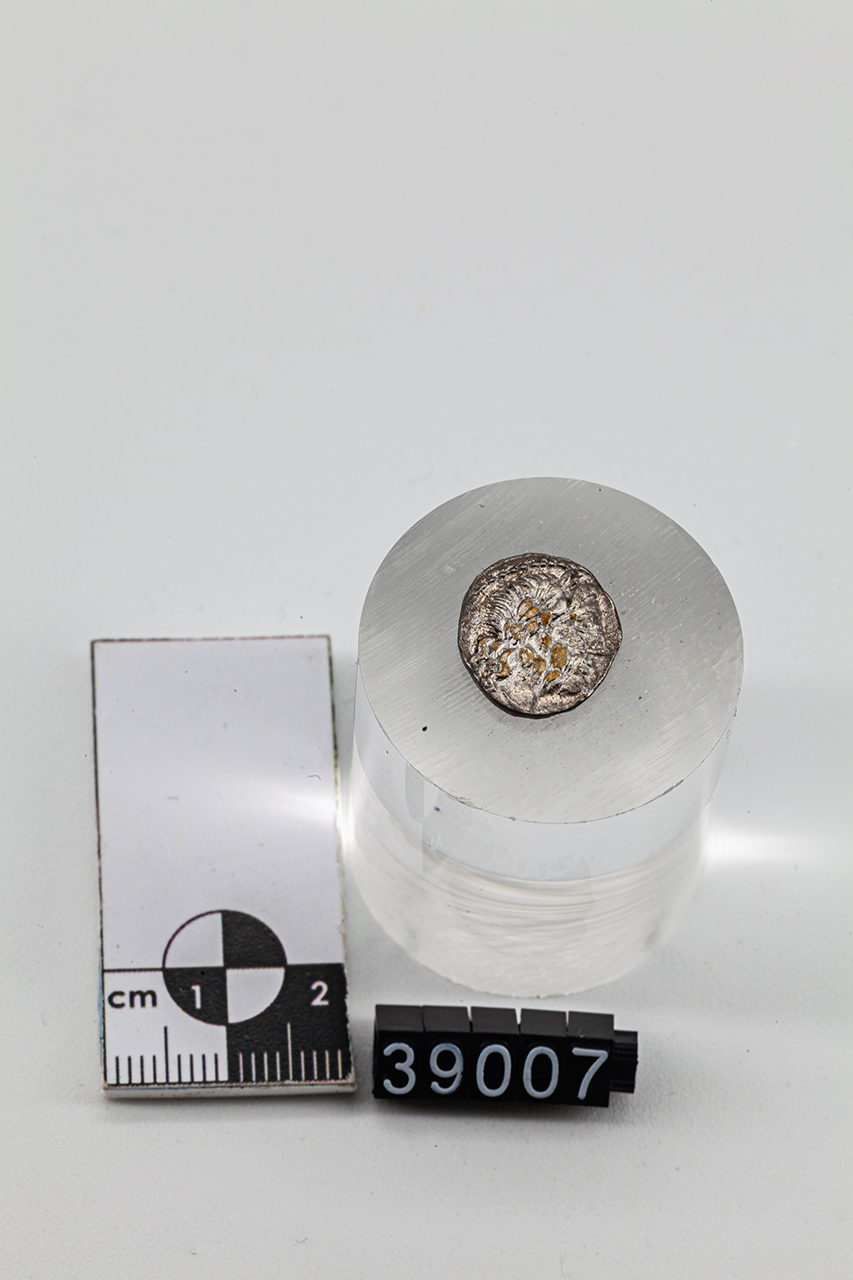 moneta - Quinario (inizio SECOLI/ I a.C)