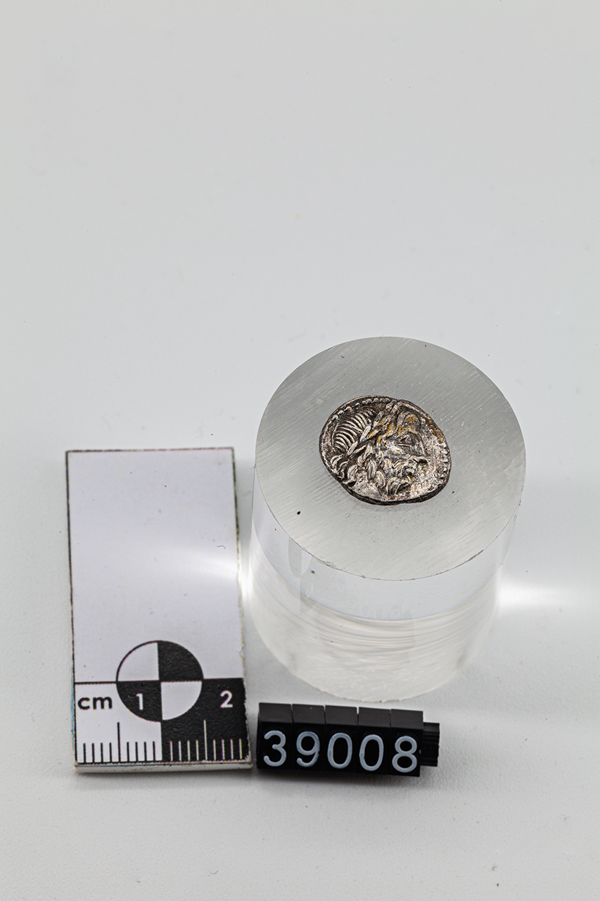 moneta - Quinario (inizio SECOLI/ I a.C)