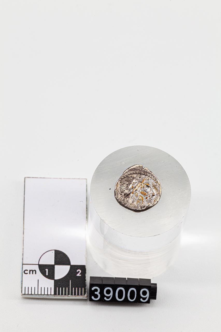 moneta - Quinario (inizio SECOLI/ I a.C)