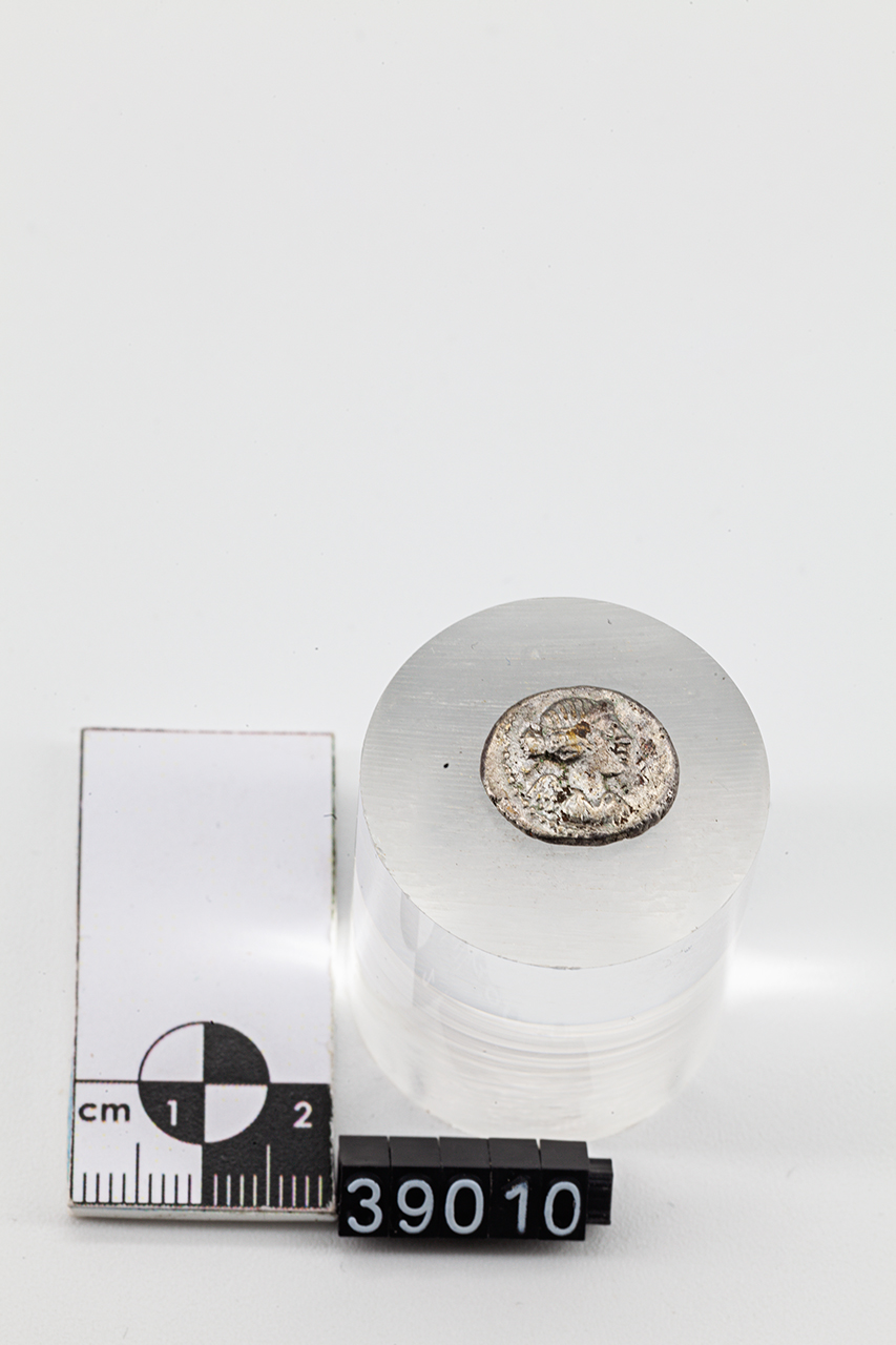 moneta - Quinario (inizio SECOLI/ I a.C)