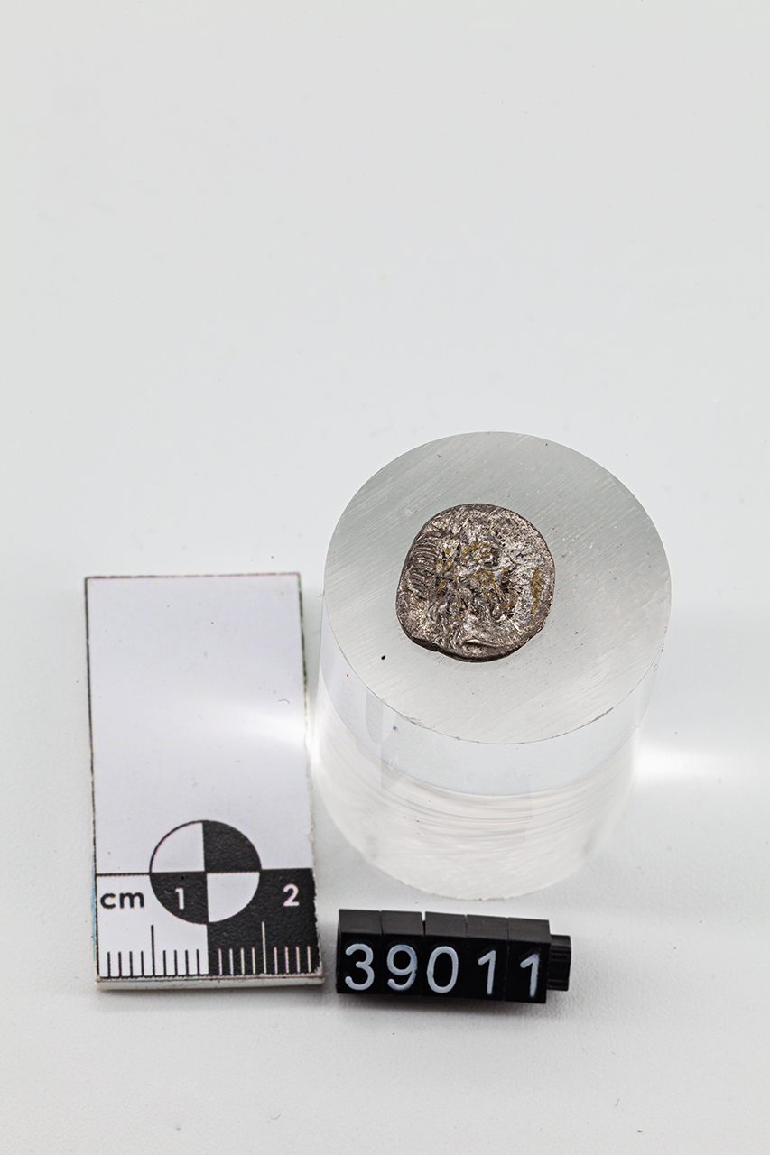 moneta - Quinario (inizio SECOLI/ I a.C)