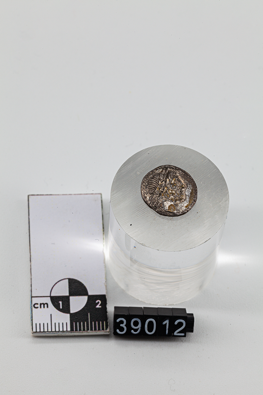 moneta - Quinario (inizio SECOLI/ I a.C)