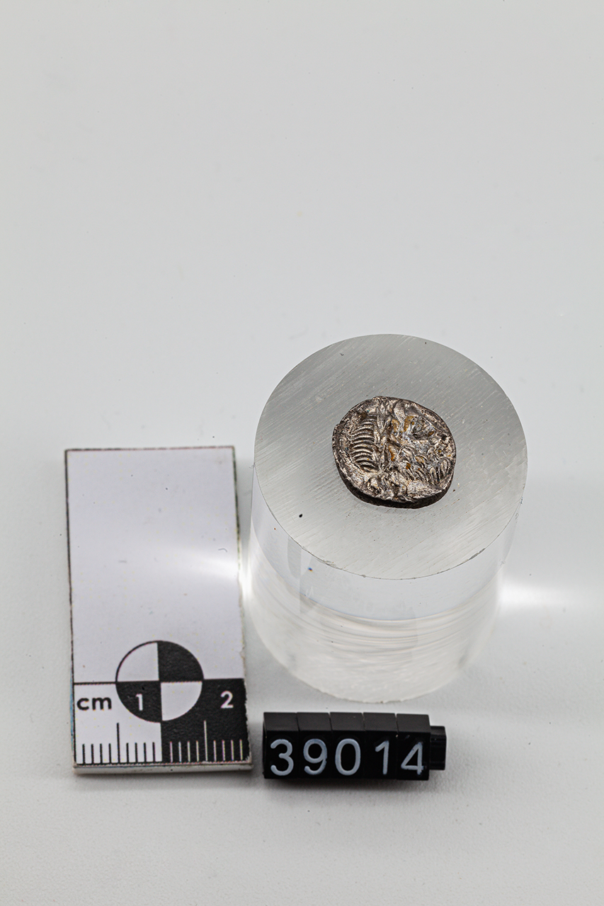 moneta - Quinario (inizio SECOLI/ I a.C)