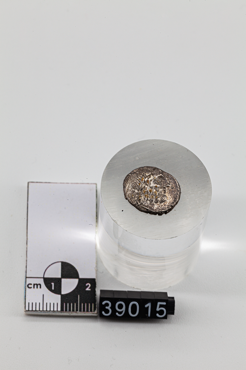 moneta - Quinario (inizio SECOLI/ I a.C)