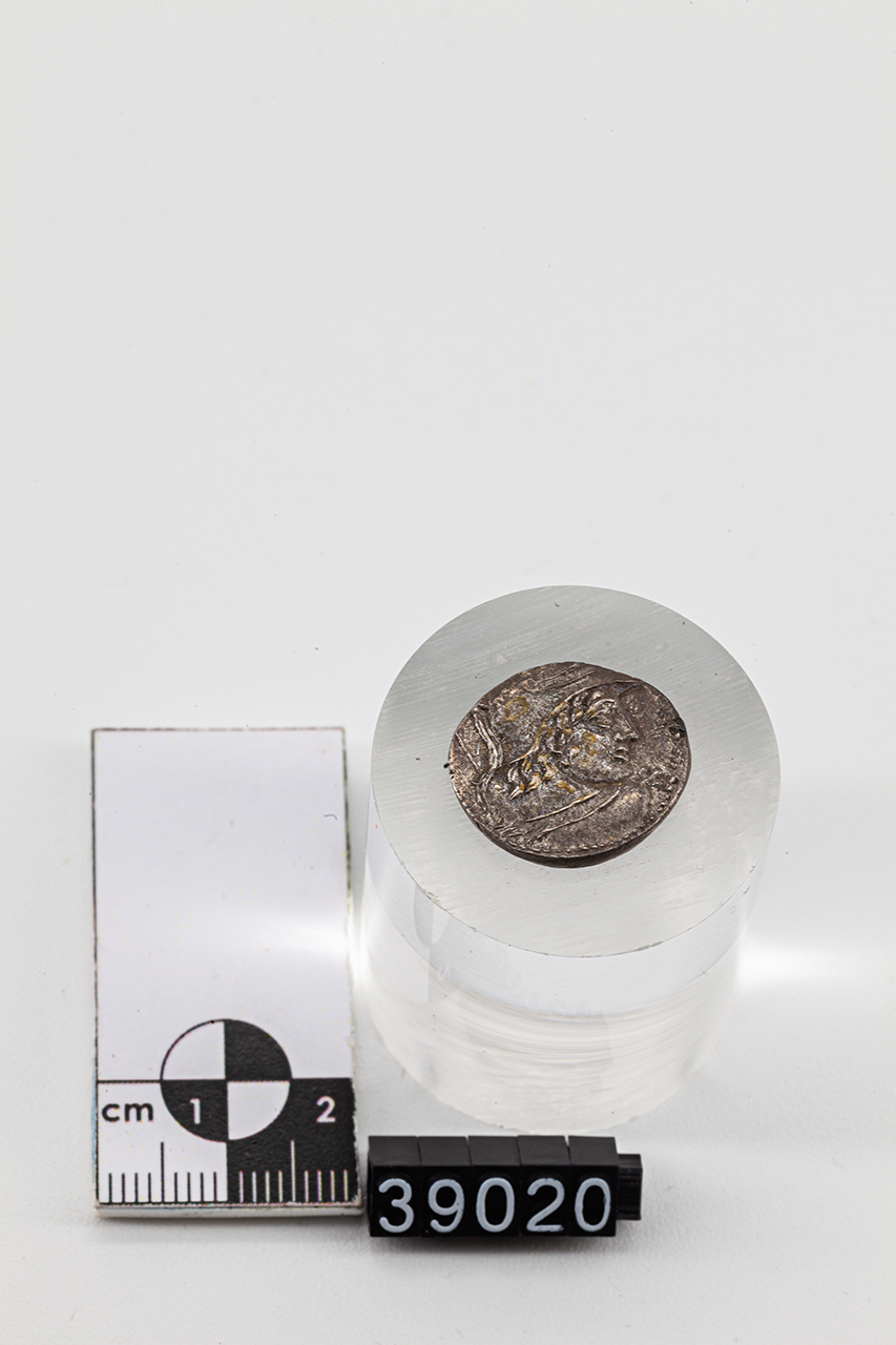 moneta - Denario (SECOLI/ I a.C)