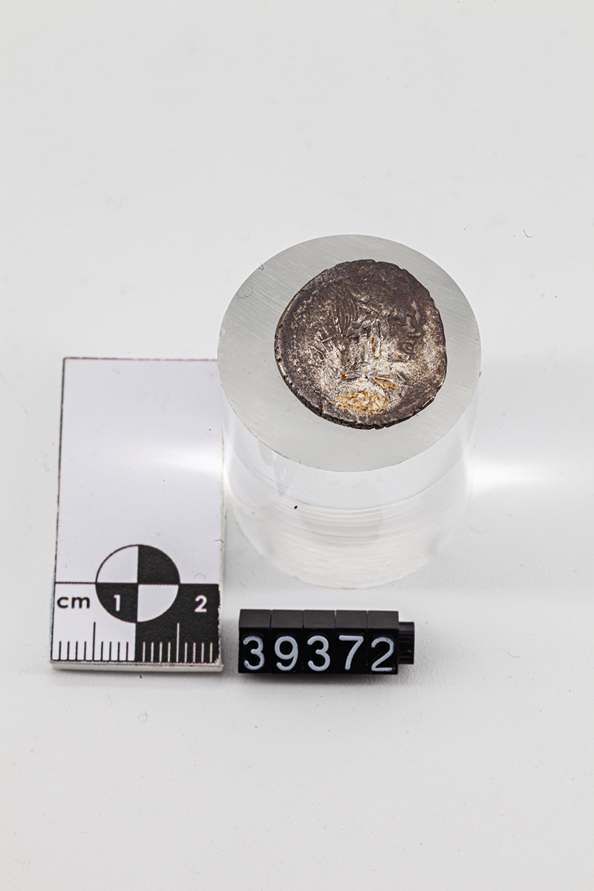 moneta - Denario (SECOLI/ I a.C)