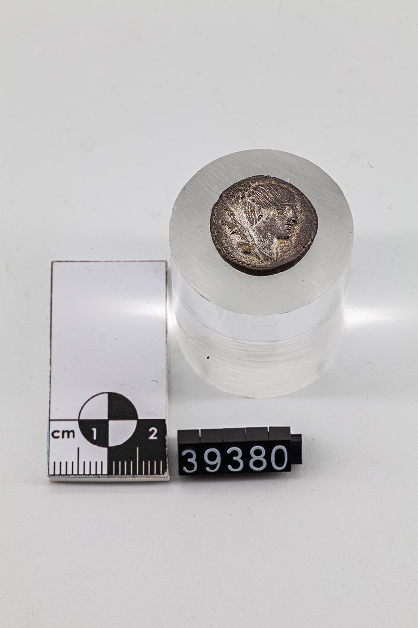 moneta - Denario (SECOLI/ I a.C)