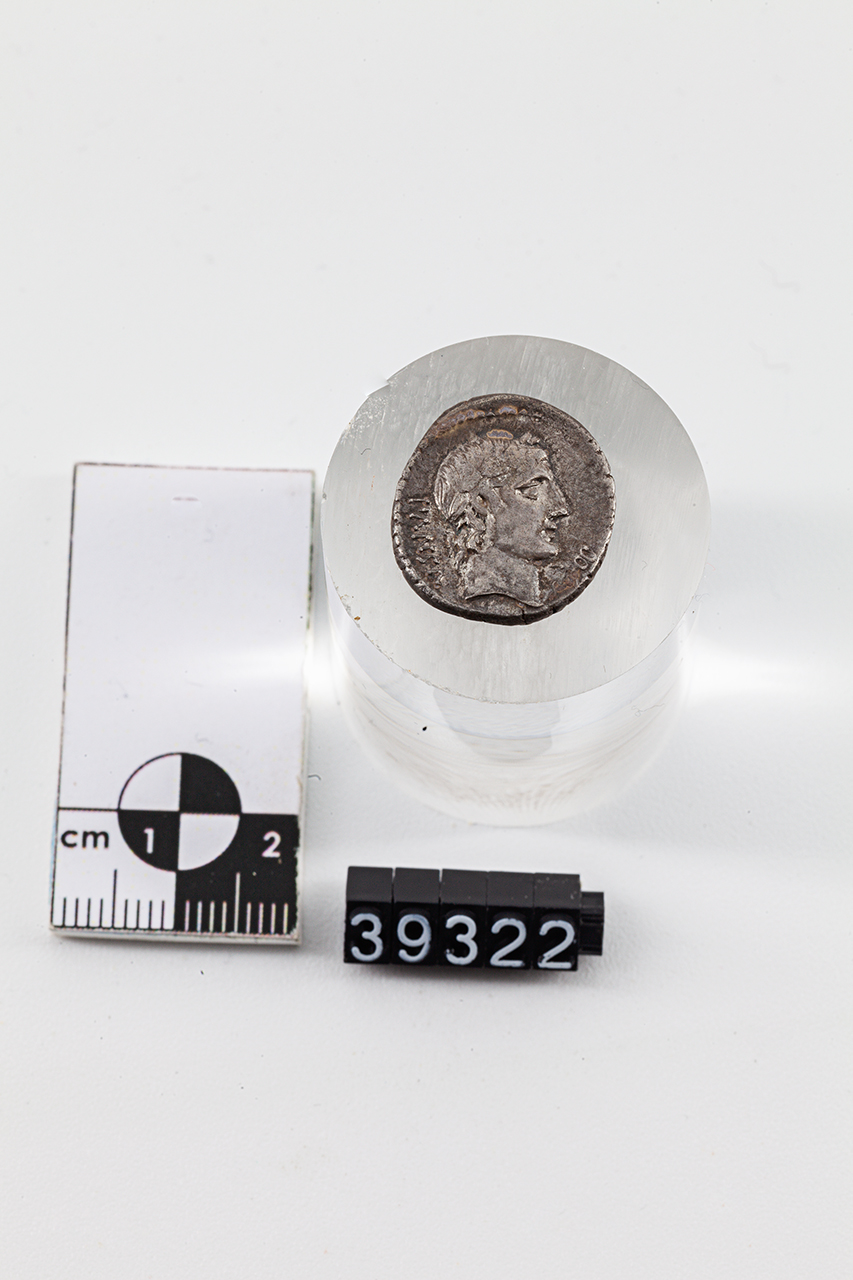 moneta - Denario (SECOLI/ I a.C)