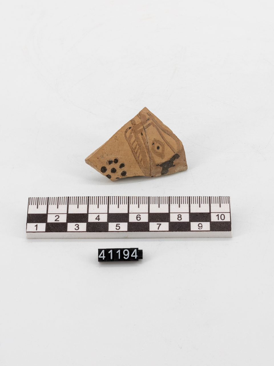 Due frammenti con decorazione figurata - produzione locale (metà SECOLI/ VII a.C)