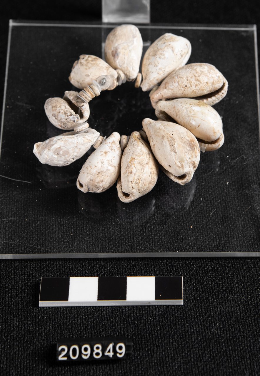 conchiglie/serie (SECOLI/ VII a.C)