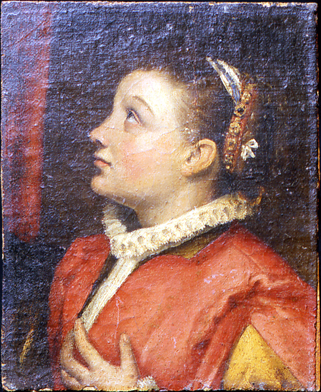 ritratto di giovane donna (miniatura) di Casolani Alessandro (sec. XVI)