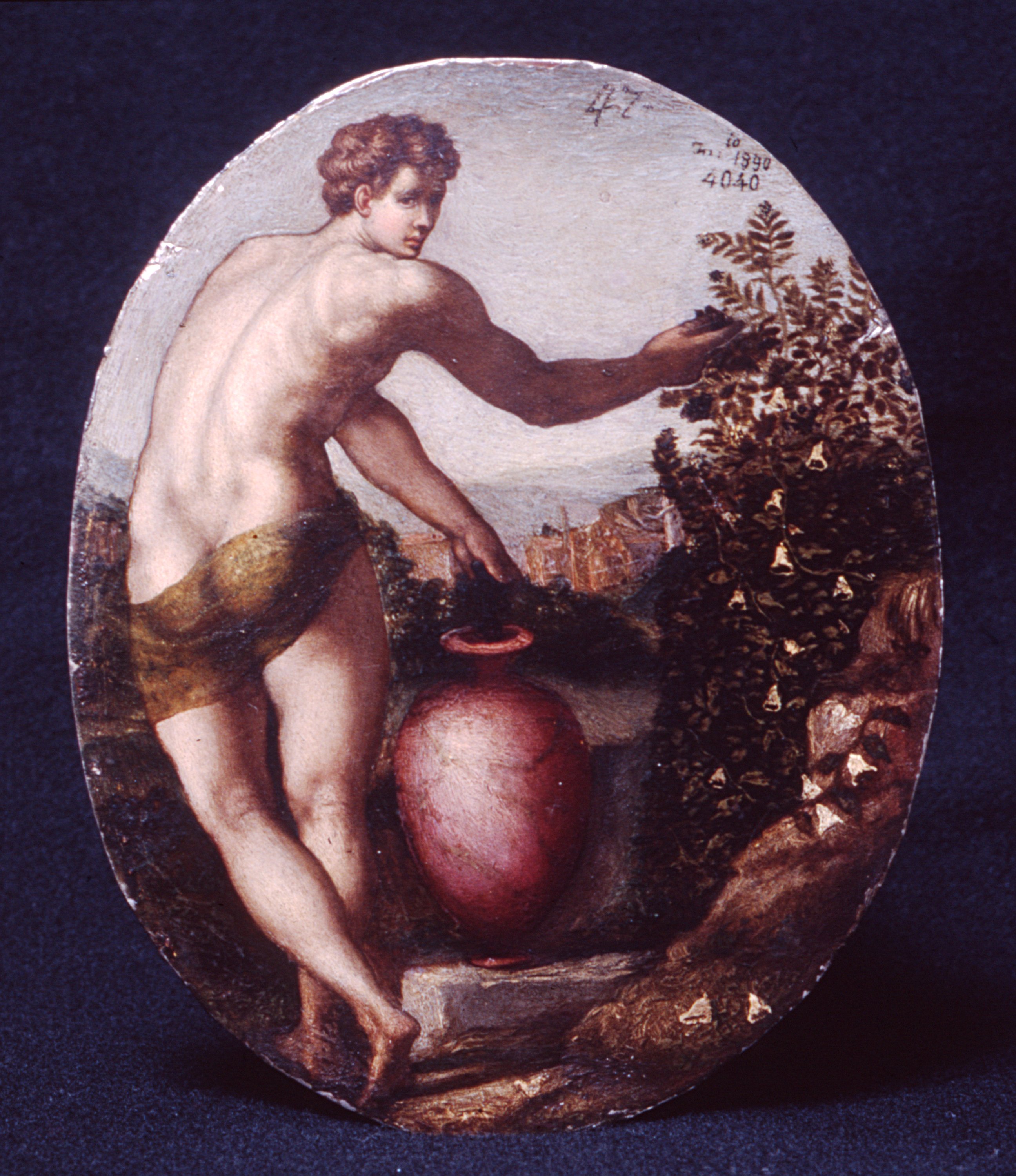 ritratto di Francesco I de' Medici, figura allegorica (miniatura) di Portelli Carlo (?) (sec. XVI)