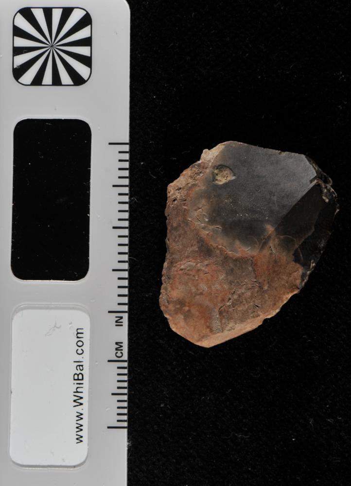 strumento (PERIODIZZAZIONI/ PREISTORIA/ Paleolitico)