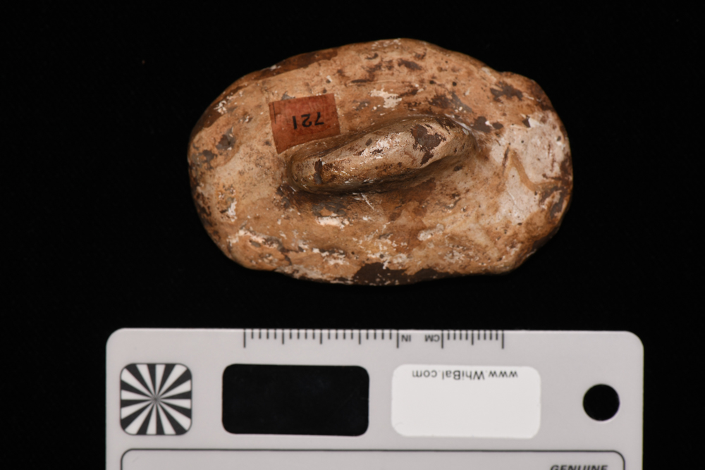 riproduzione, da calco (XX secolo)