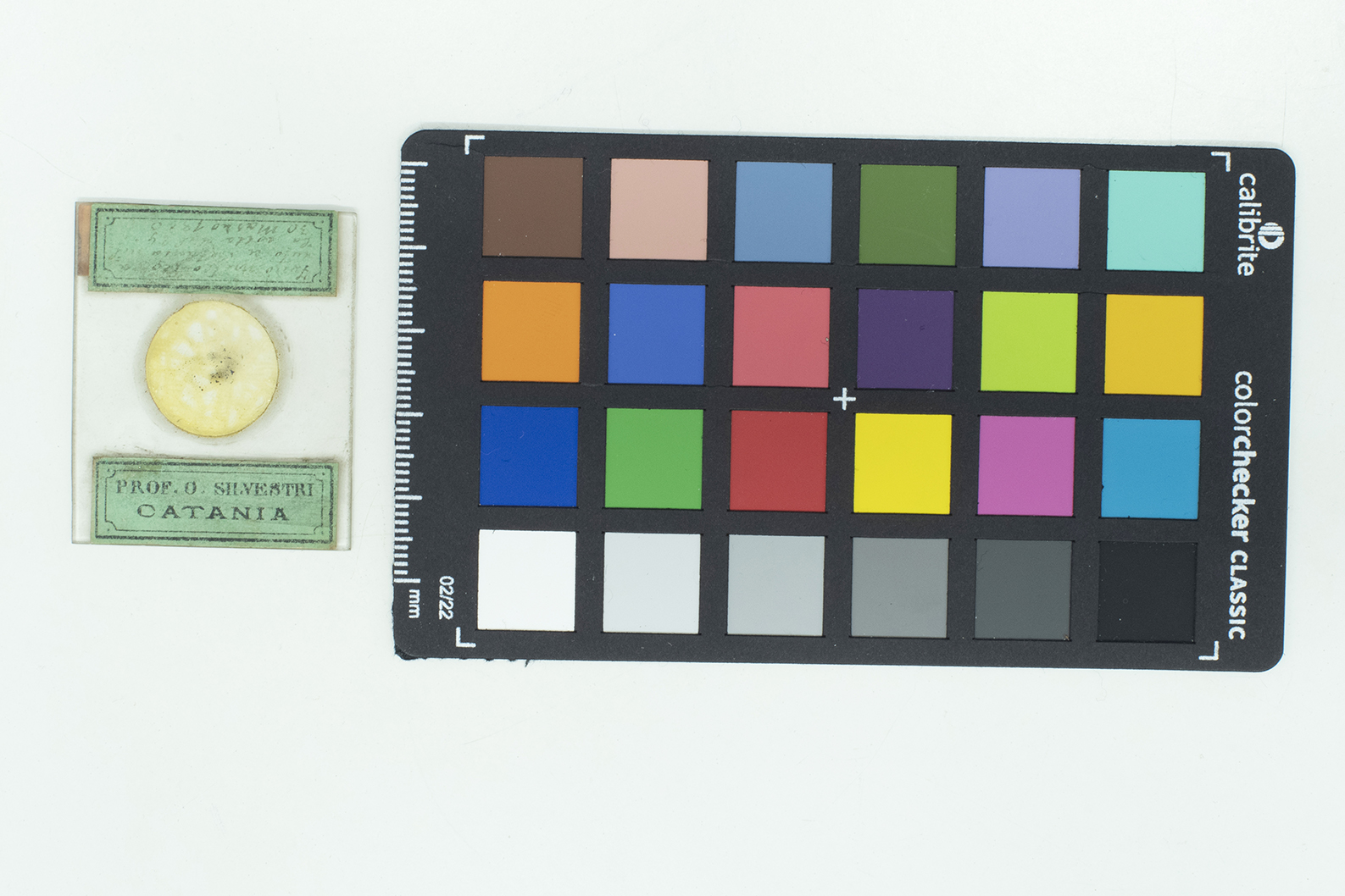 Meteorite (esemplare)