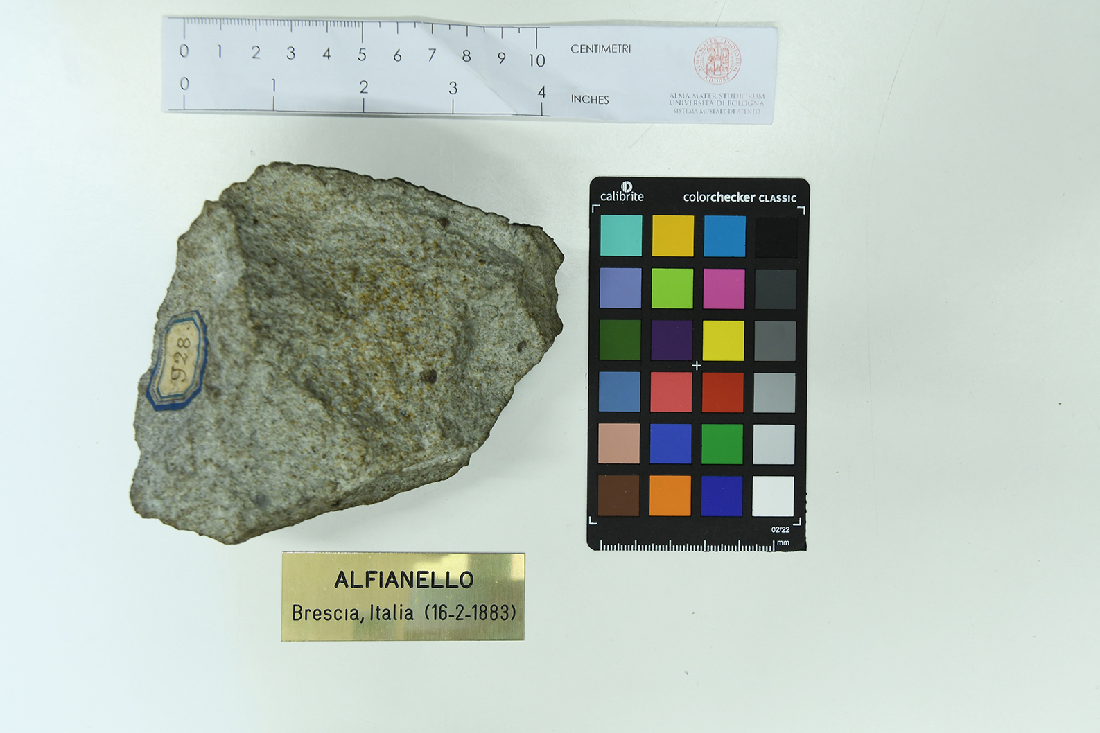 Meteorite (esemplare)