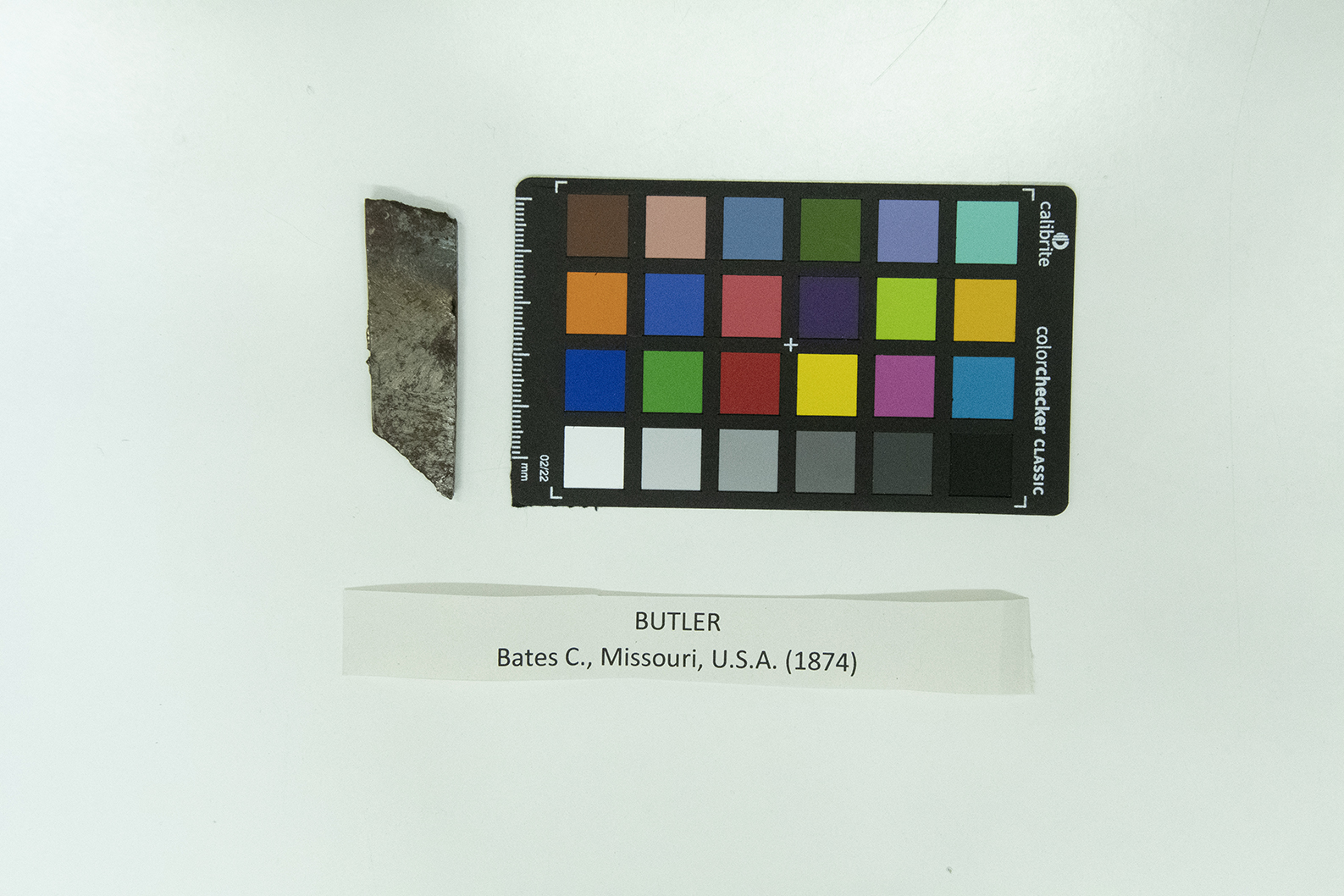 Meteorite (esemplare)