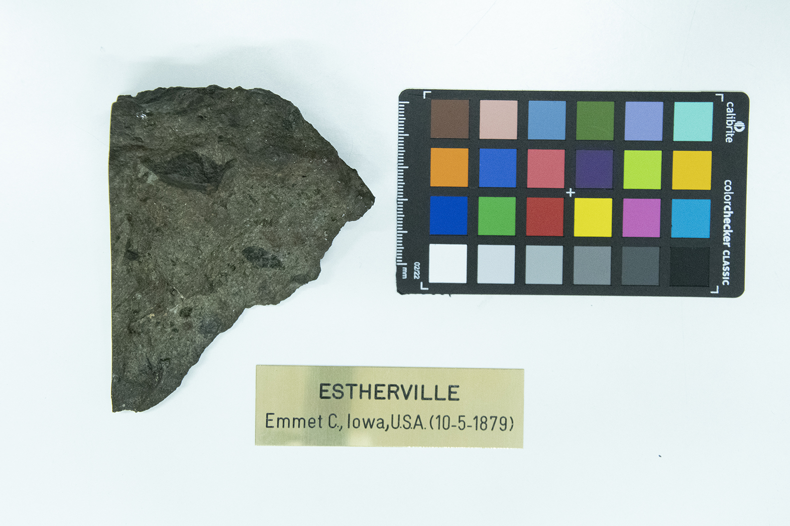 Meteorite (esemplare)