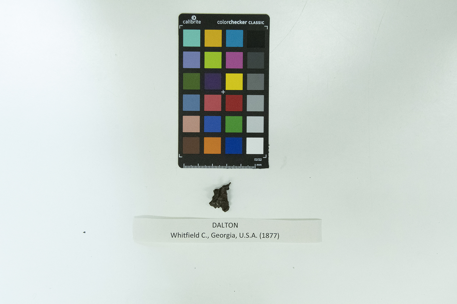 Meteorite (esemplare)