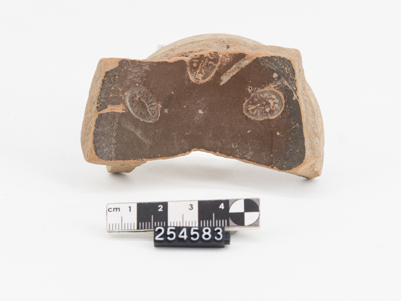 coppa/ fondo, vernice nera (SECOLI/ III a.C)