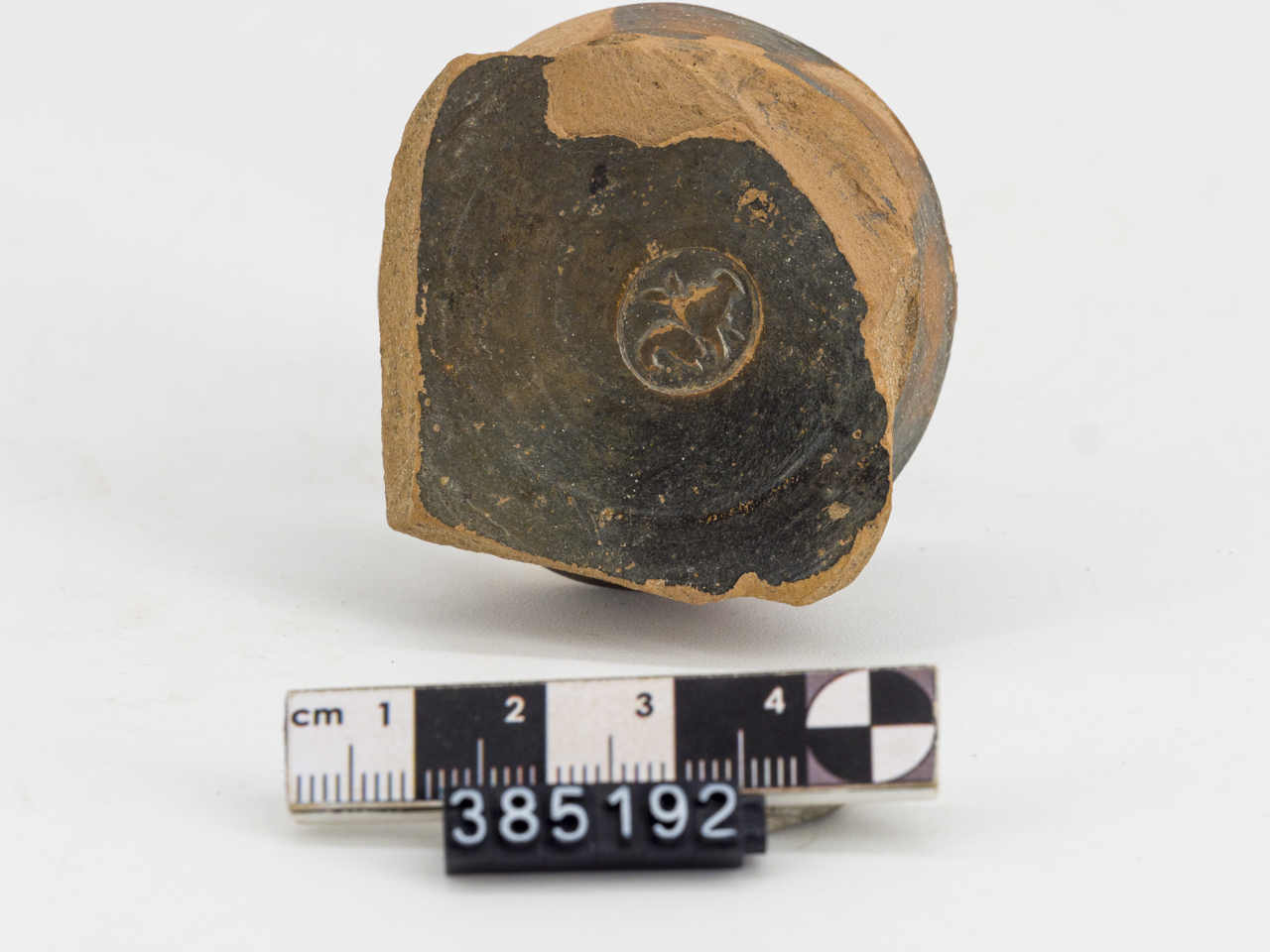 coppa/ fondo, vernice nera (IV-III secolo a.C)