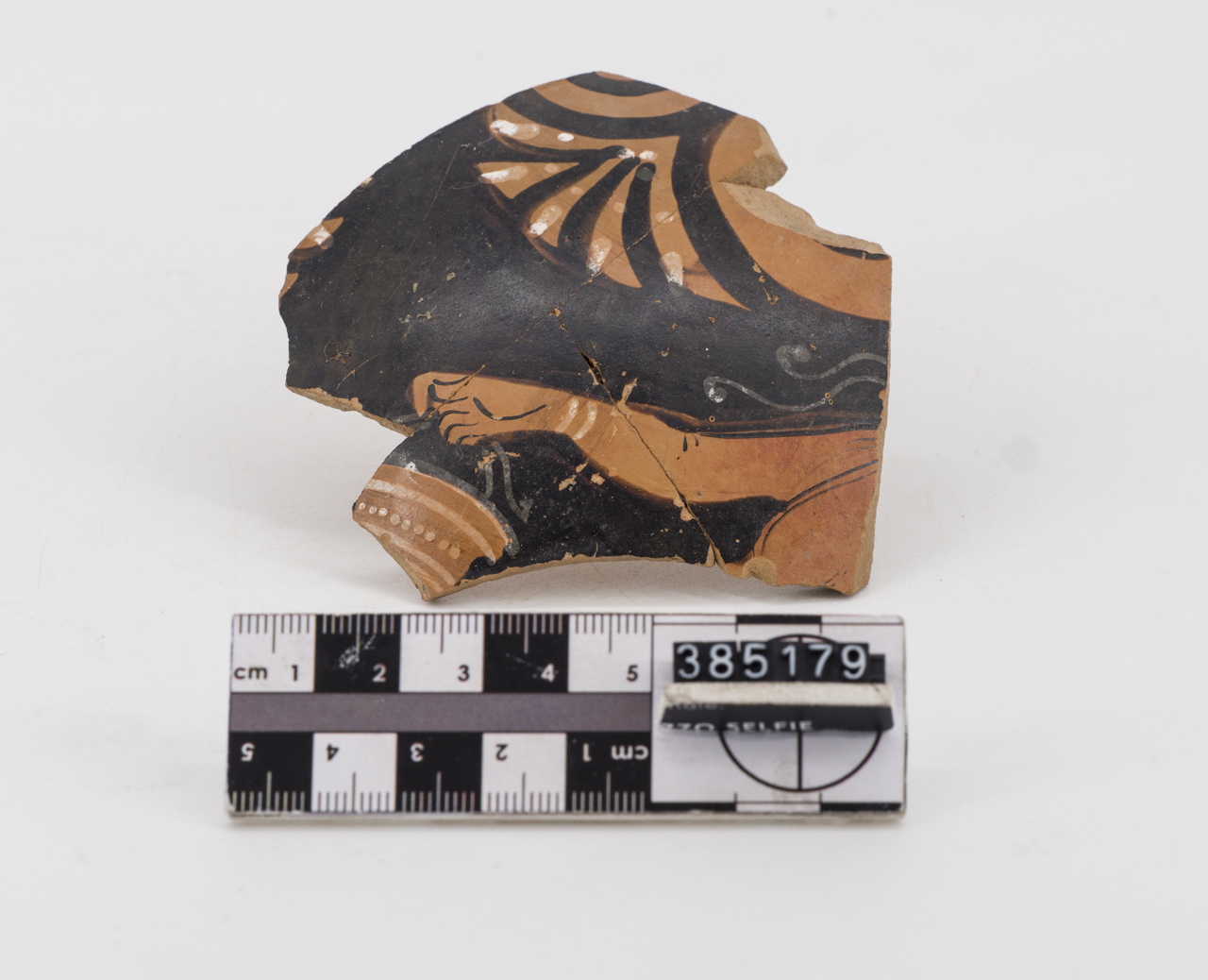 frammento, forma chiusa a figure rosse (fine IV - III secolo a. C)