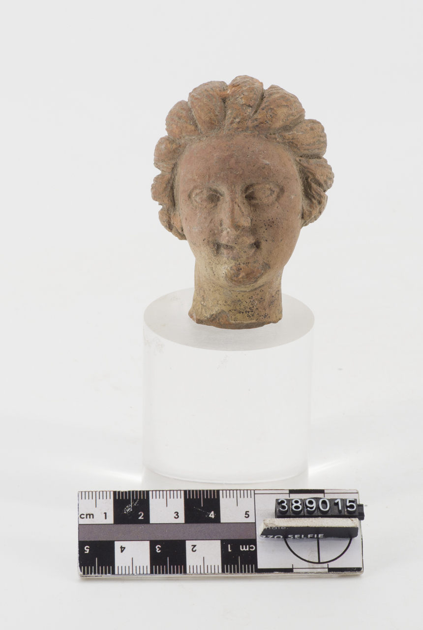 testa/ femminile (SECOLI/ III a.C)