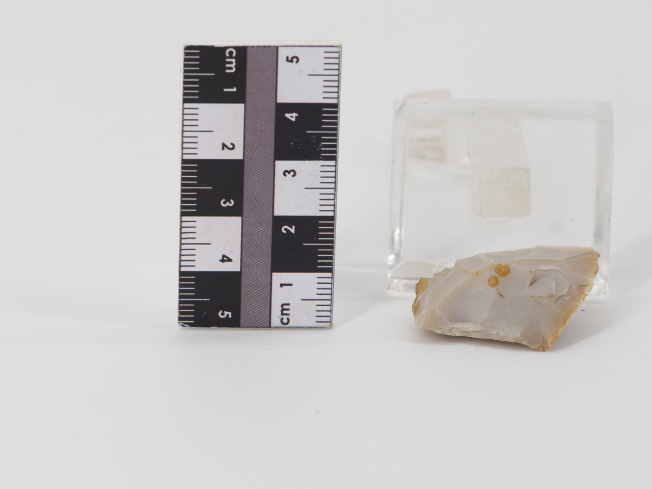 scheggia (PERIODIZZAZIONI/ PREISTORIA/ Paleolitico)