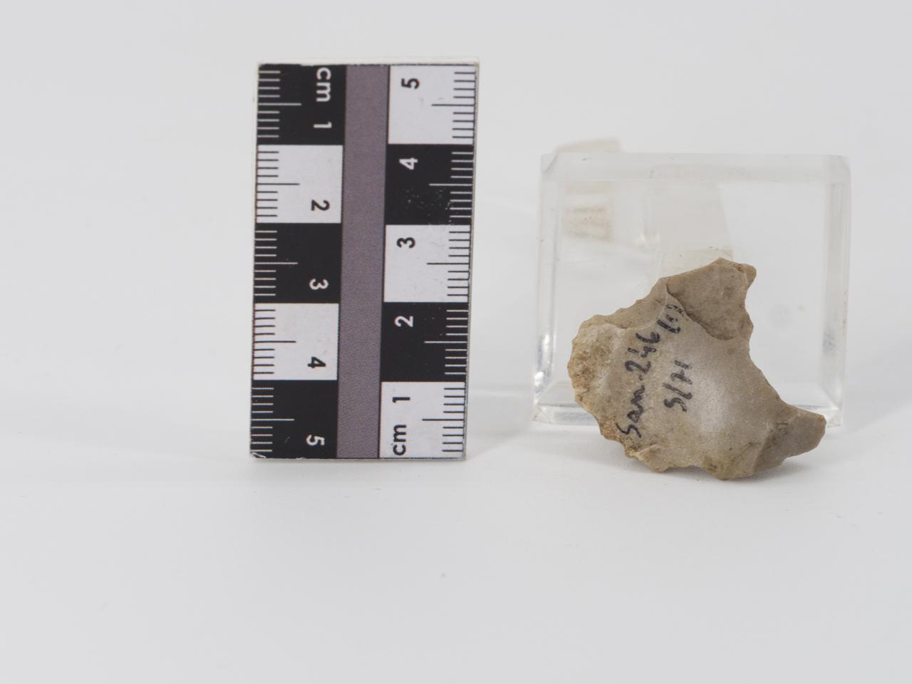 scheggia (PERIODIZZAZIONI/ PREISTORIA/ Paleolitico)