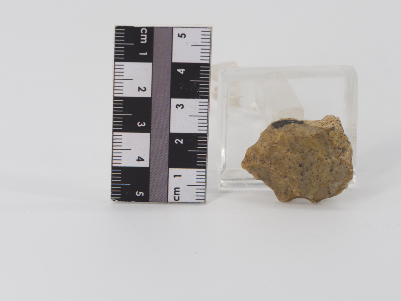 scheggia (PERIODIZZAZIONI/ PREISTORIA/ Paleolitico)