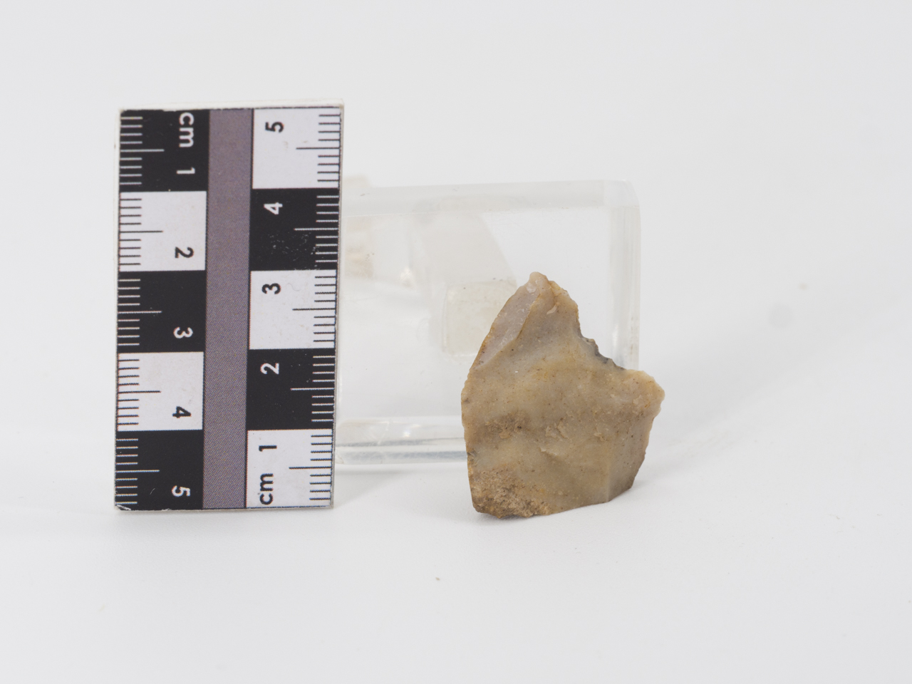 scheggia (PERIODIZZAZIONI/ PREISTORIA/ Paleolitico)