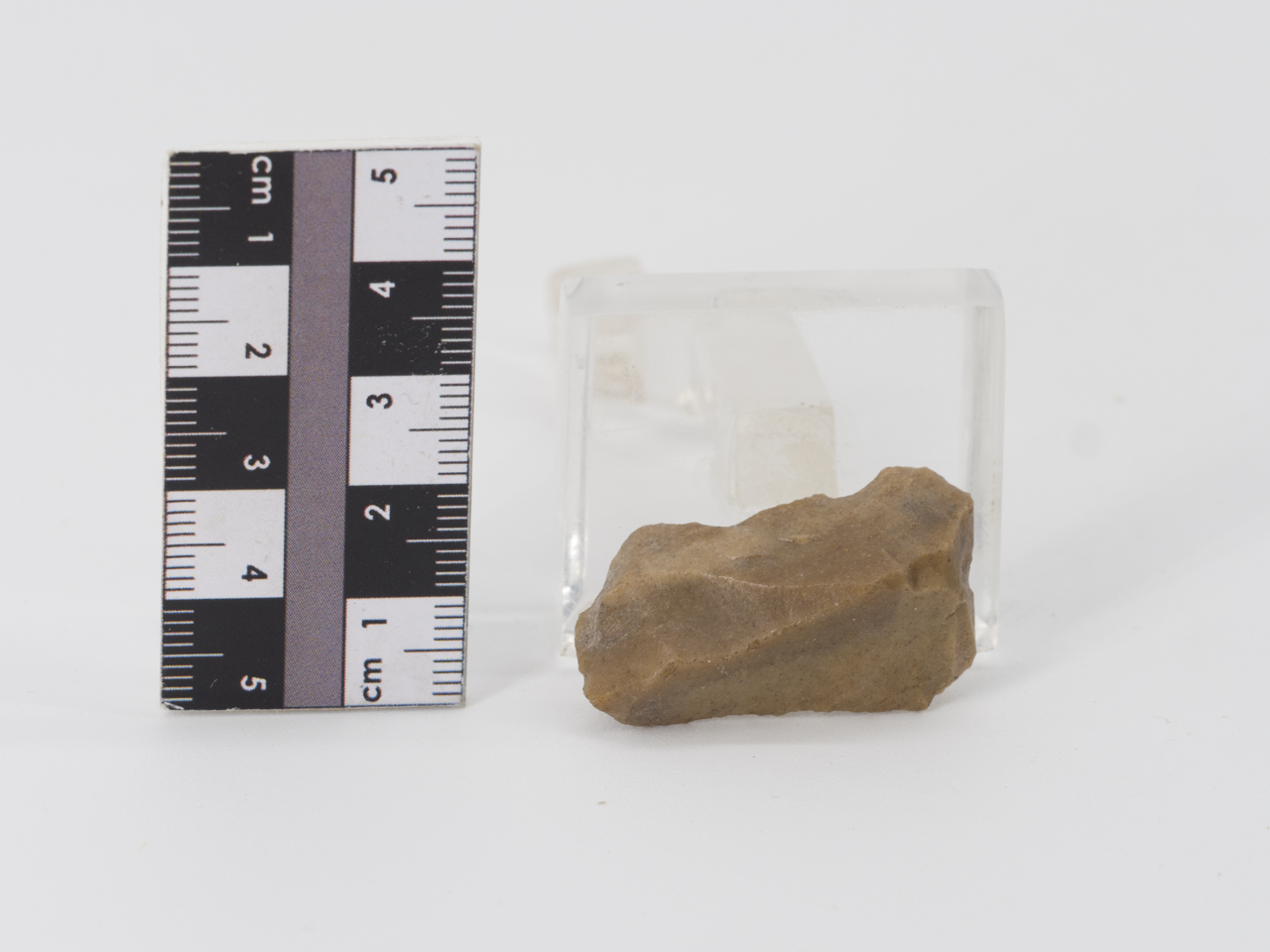 scheggia (PERIODIZZAZIONI/ PREISTORIA/ Paleolitico)