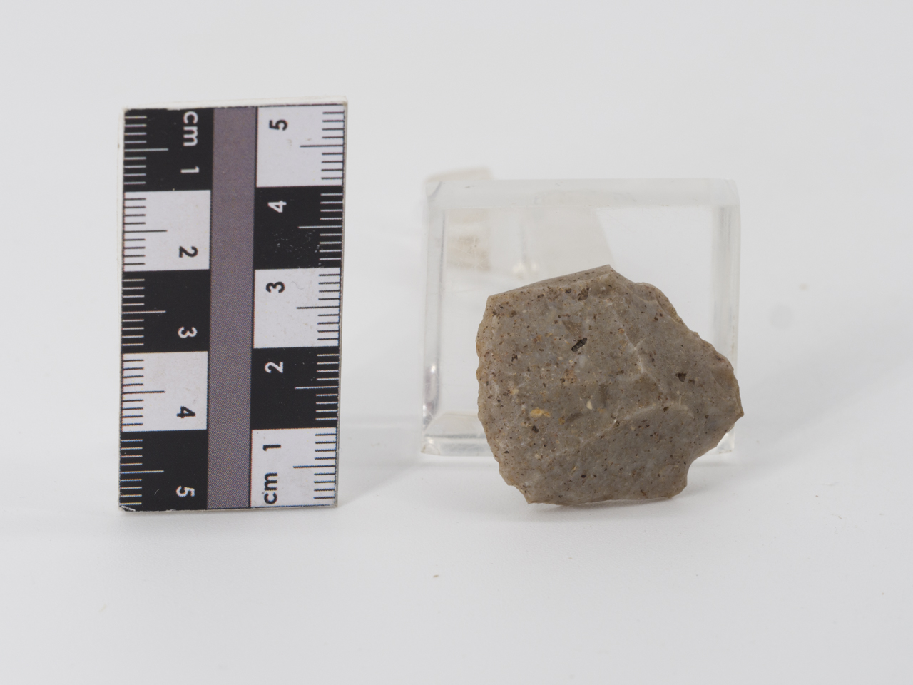 scheggia (PERIODIZZAZIONI/ PREISTORIA/ Paleolitico)