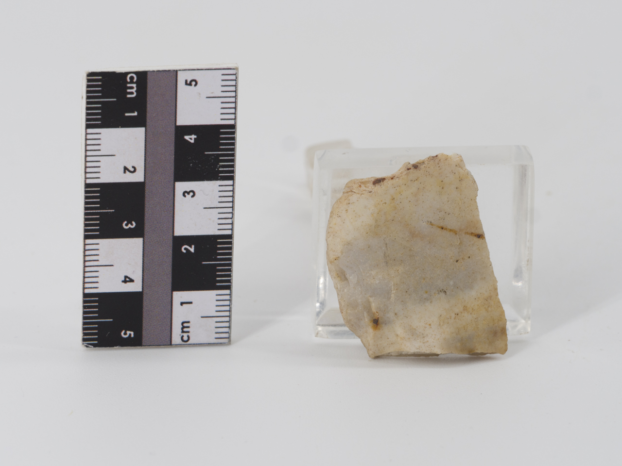 scheggia (PERIODIZZAZIONI/ PREISTORIA/ Paleolitico)