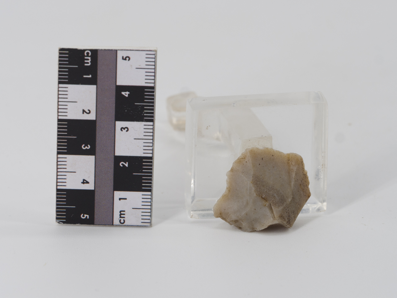 scheggia (PERIODIZZAZIONI/ PREISTORIA/ Paleolitico)