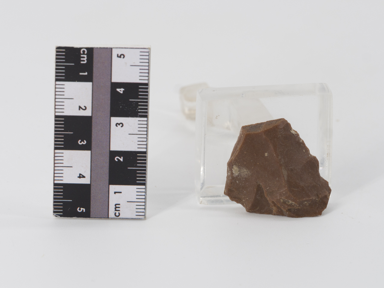 scheggia (PERIODIZZAZIONI/ PREISTORIA/ Paleolitico)