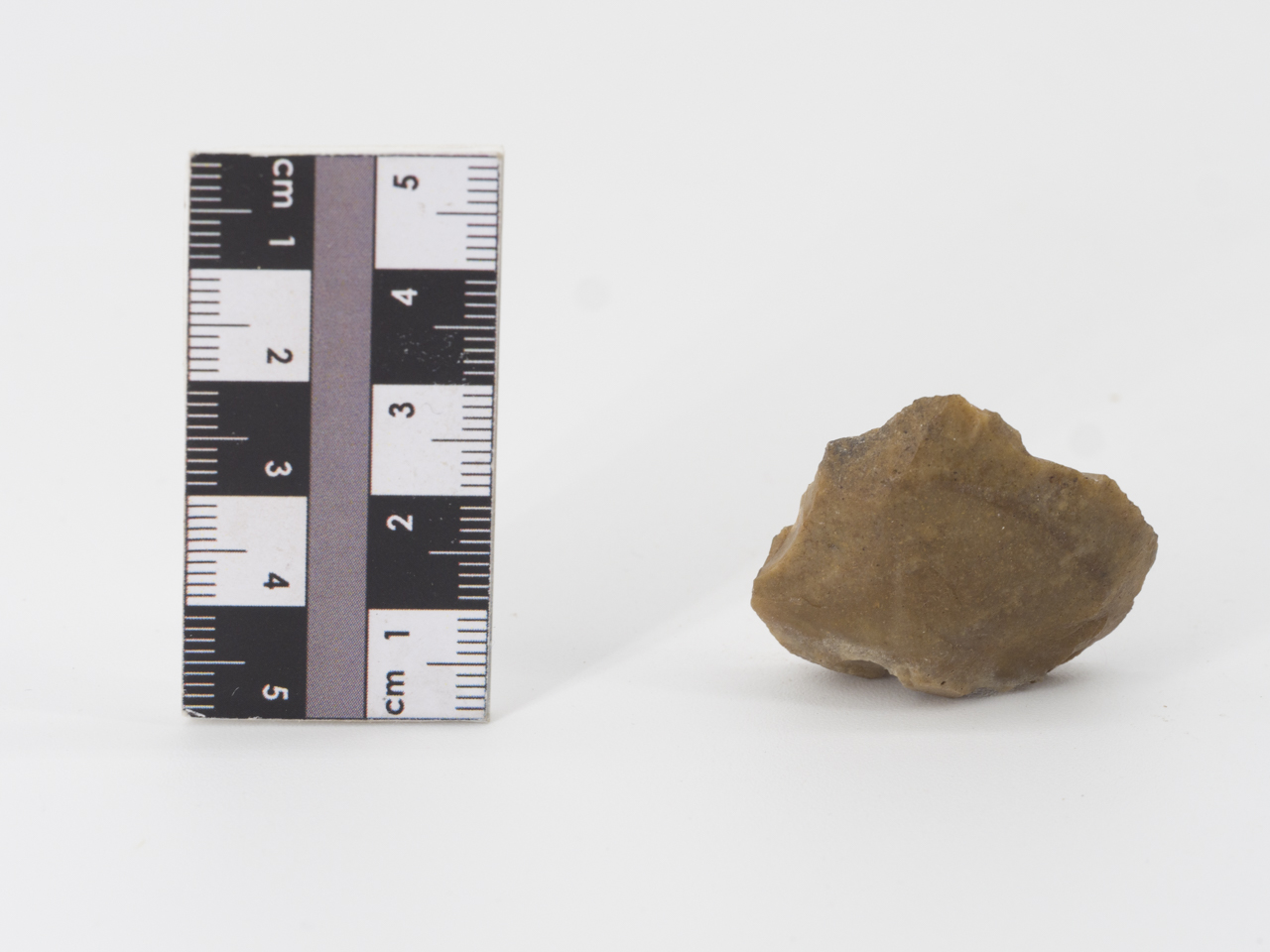 scheggia (PERIODIZZAZIONI/ PREISTORIA/ Paleolitico)