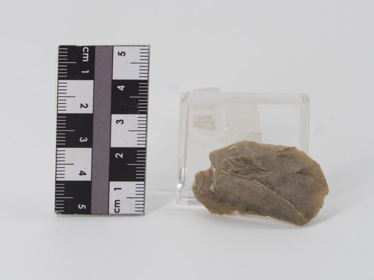 scheggia (PERIODIZZAZIONI/ PREISTORIA/ Paleolitico)