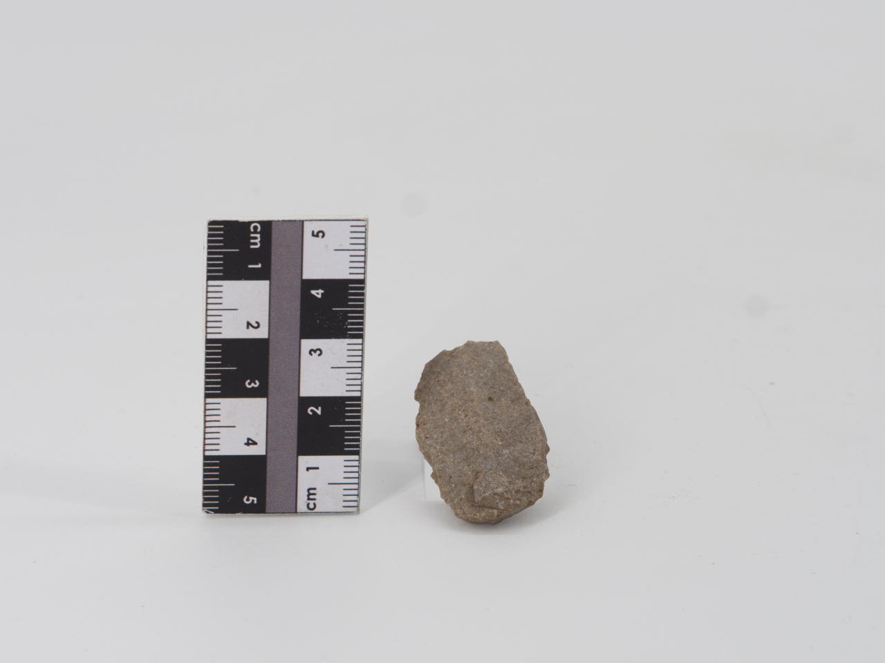 scheggia (PERIODIZZAZIONI/ PREISTORIA/ Paleolitico)