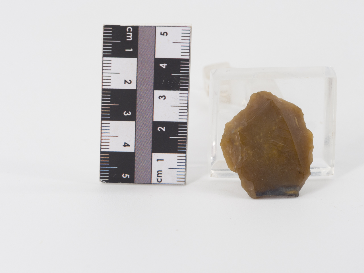 scheggia (PERIODIZZAZIONI/ PREISTORIA/ Paleolitico)