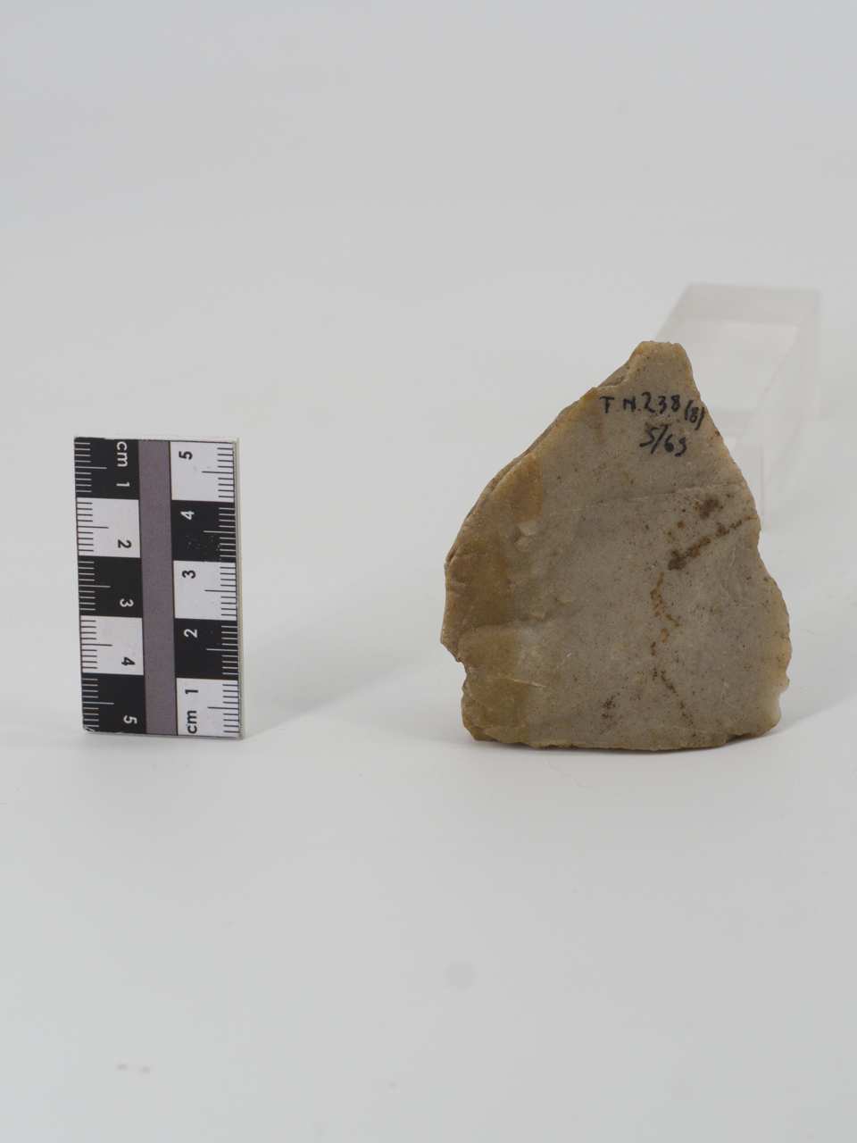 scheggia (PERIODIZZAZIONI/ PREISTORIA/ Paleolitico)