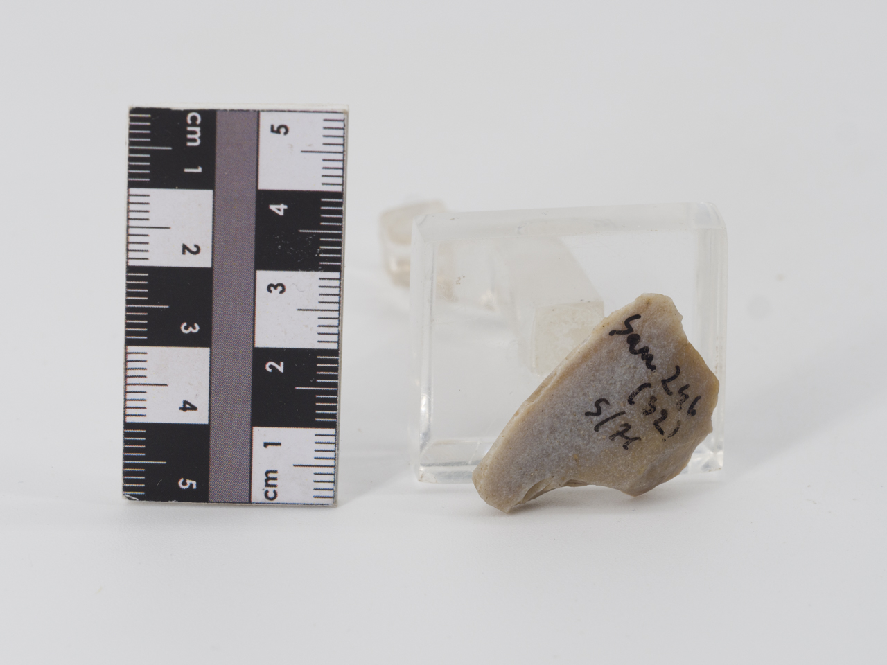 scheggia (PERIODIZZAZIONI/ PREISTORIA/ Paleolitico)