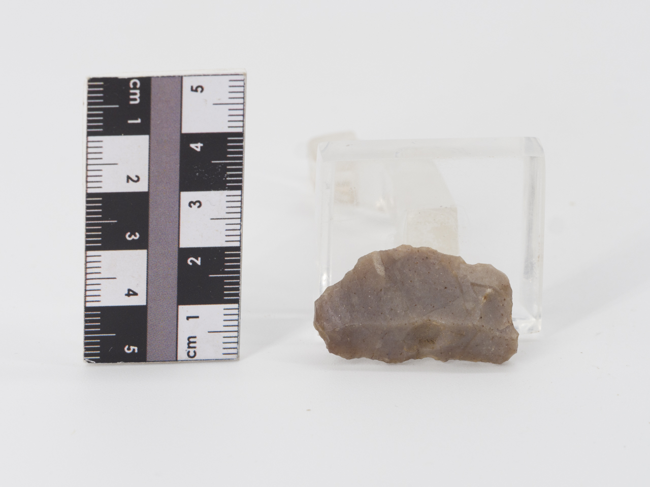 scheggia (PERIODIZZAZIONI/ PREISTORIA/ Paleolitico)