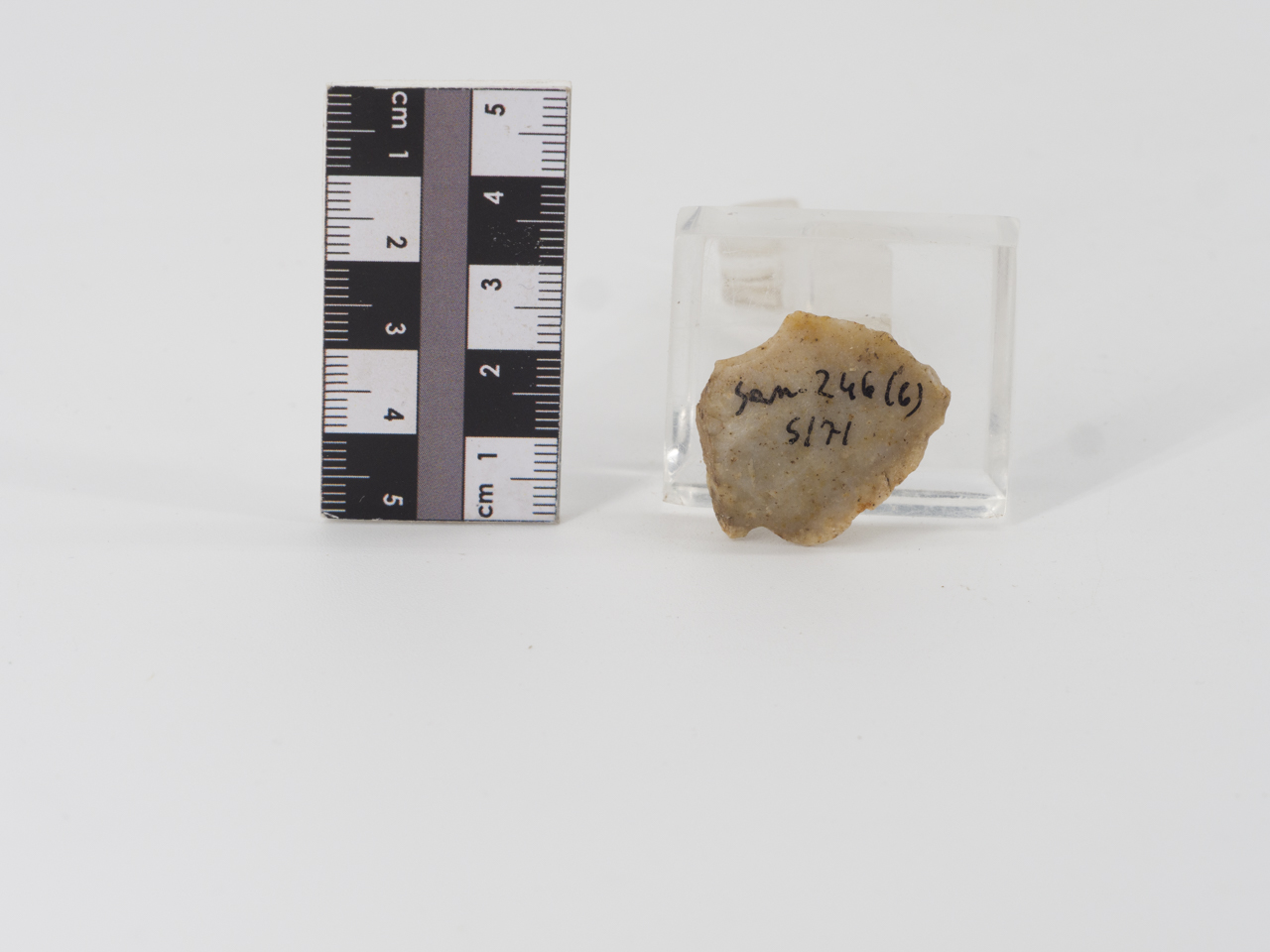 scheggia (PERIODIZZAZIONI/ PREISTORIA/ Paleolitico)